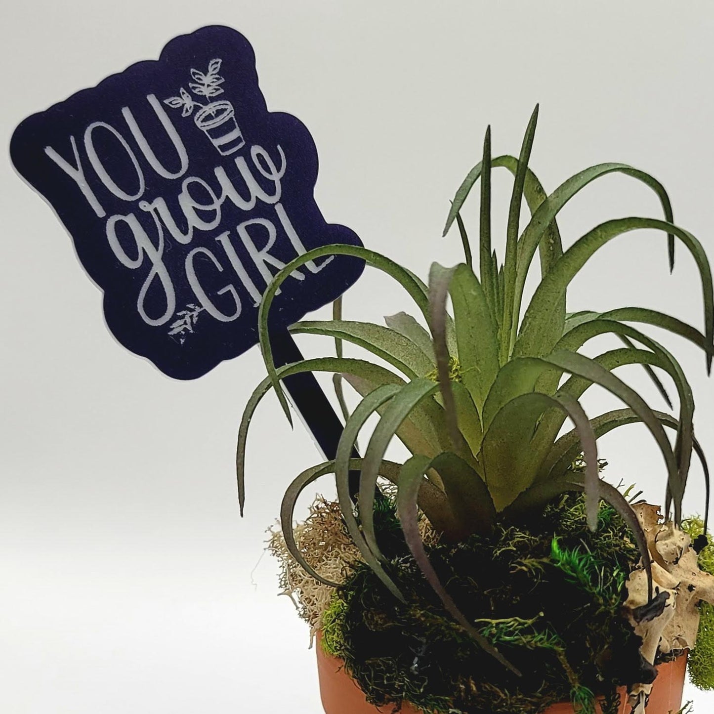 You Grow Girl! Funny Plant Stake