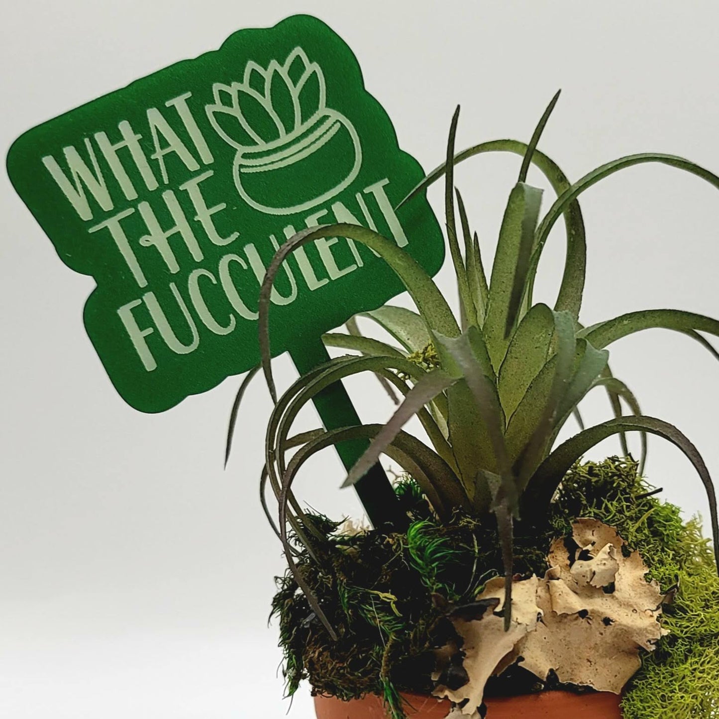 What the Fucculent! Funny Plant Stake
